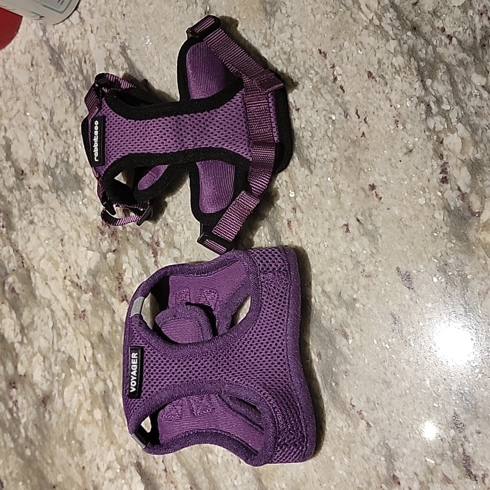 Set of 2 harnesses
